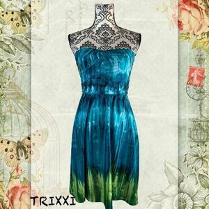 NWT Trixxi Strapless dress